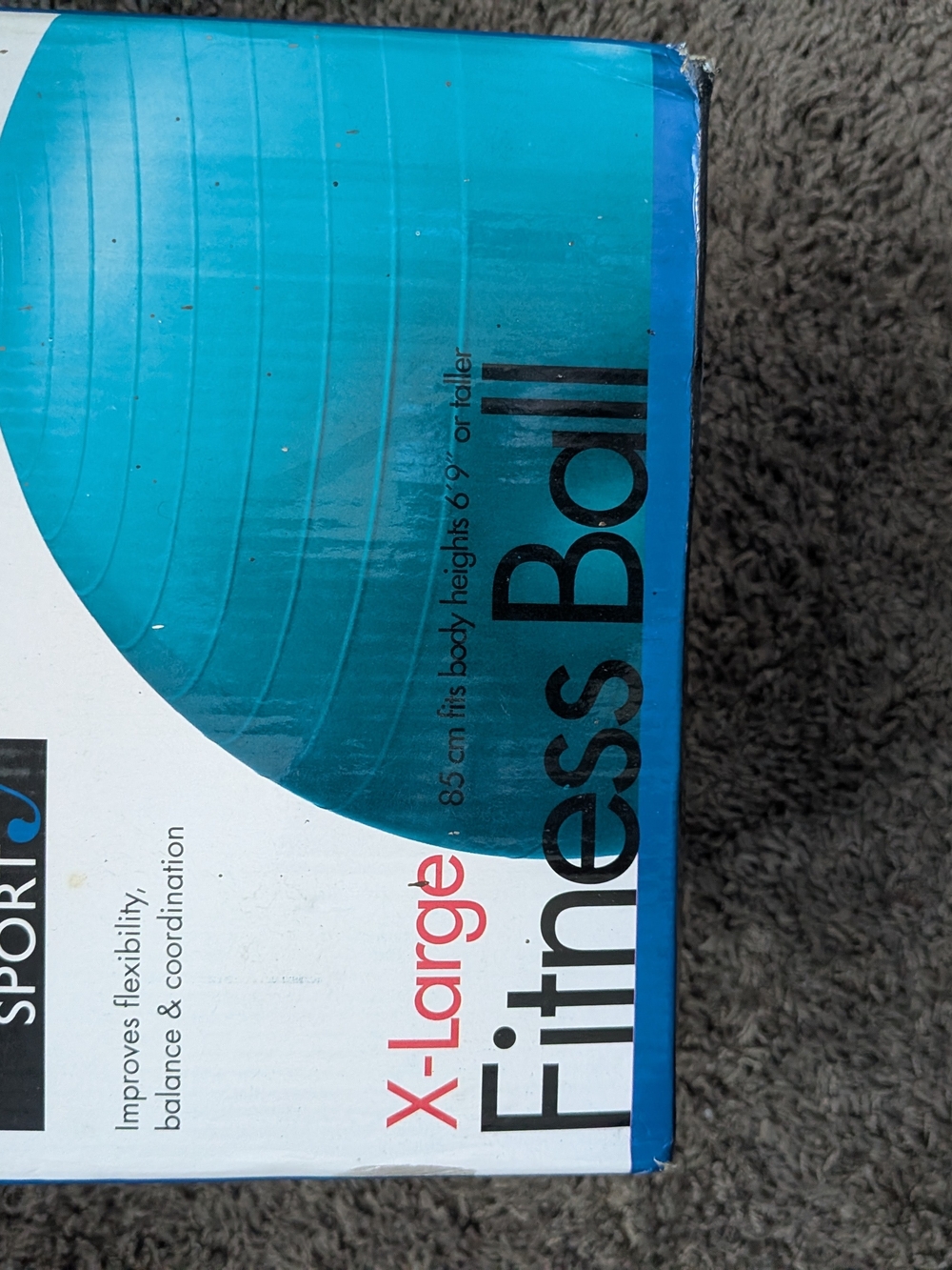 - Fitness Ball Print
